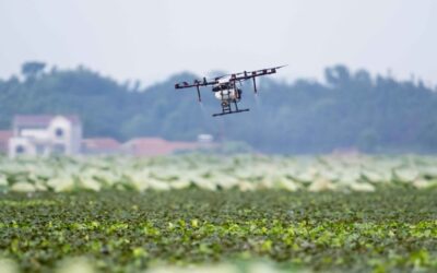 The role of self-driving vehicles in transforming agriculture